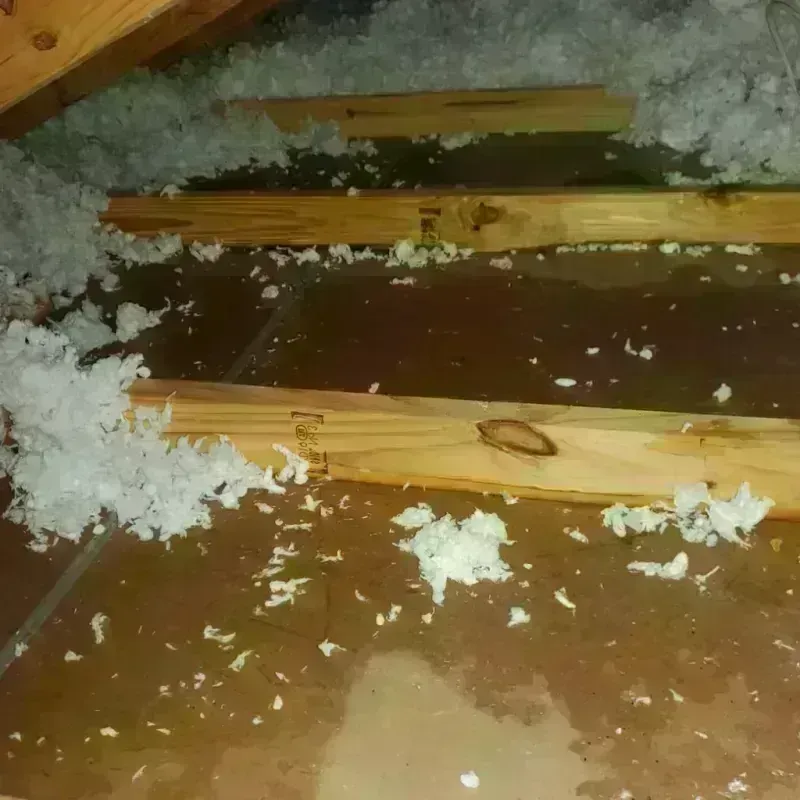 Attic Water Damage in Front Royal, VA